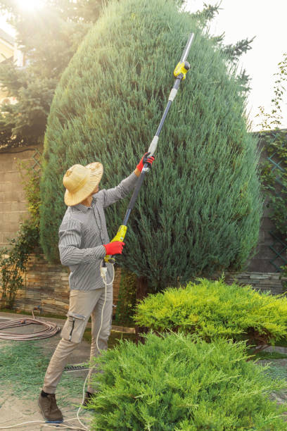 Best Pest Control for Lawns  in Belgrade, MT